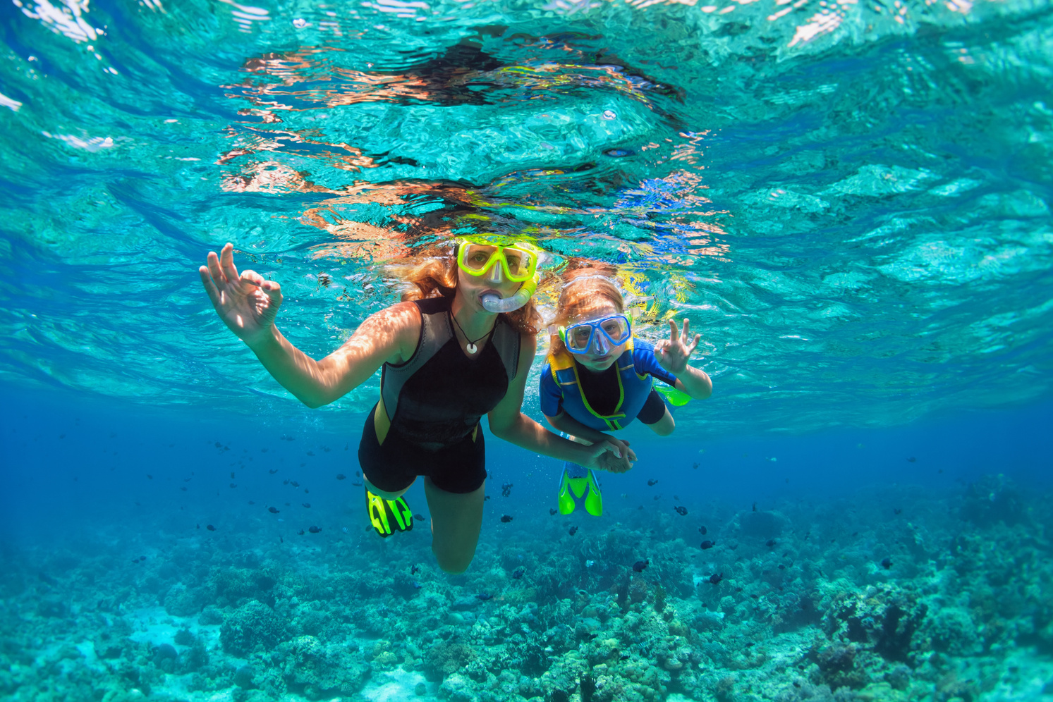 Tourism operator snorkelling tour